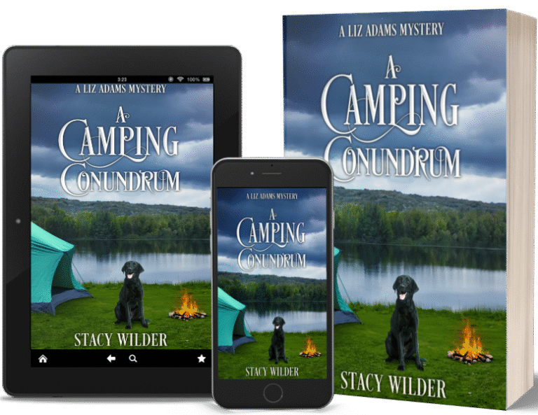 A Camping Conundrum book tour three book mockup