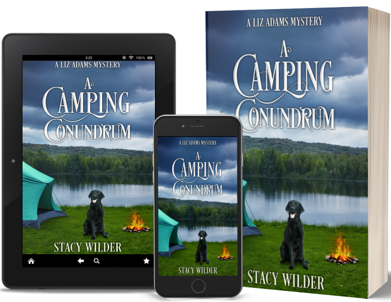 A Camping Conundrum book tour three book mockup