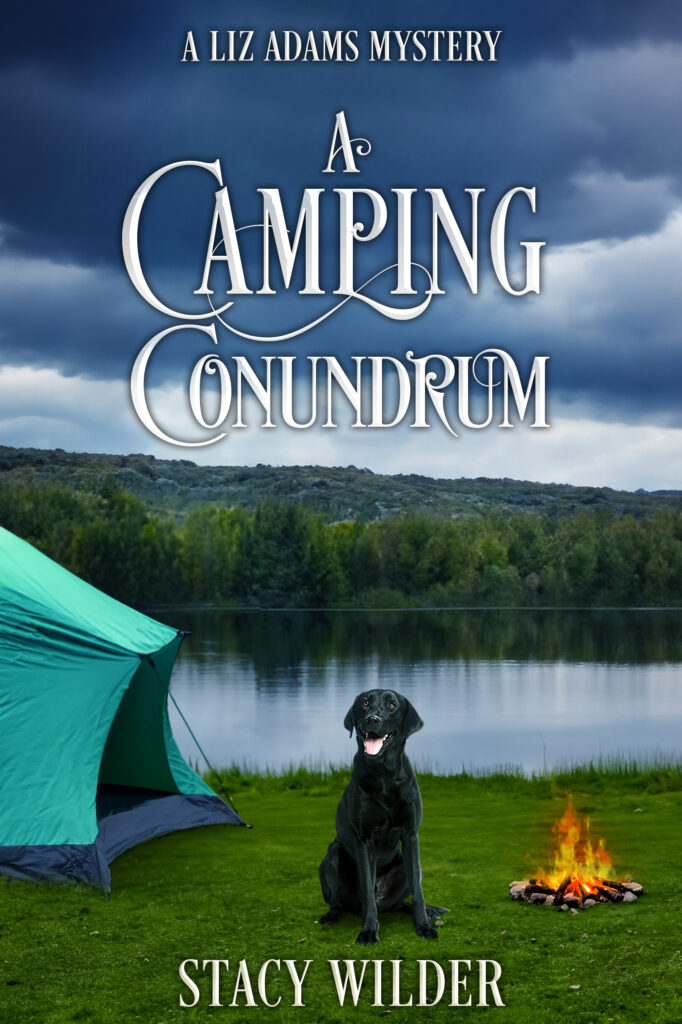 A Camping Conundrum book tour book cover
