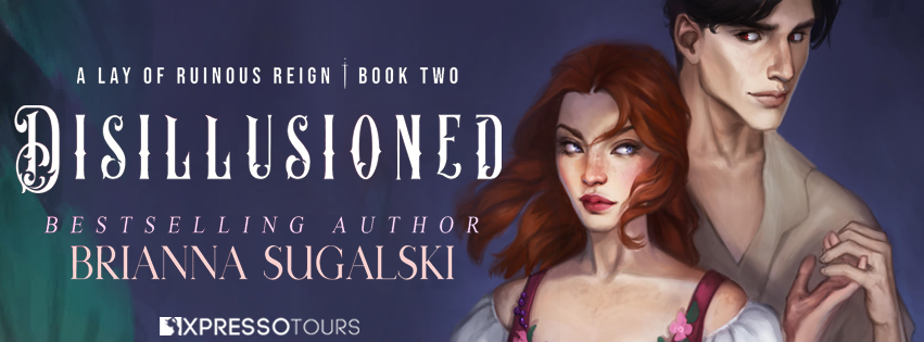 Disillusioned Book banner