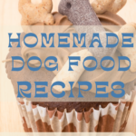 homemade dog food recipes cookbook