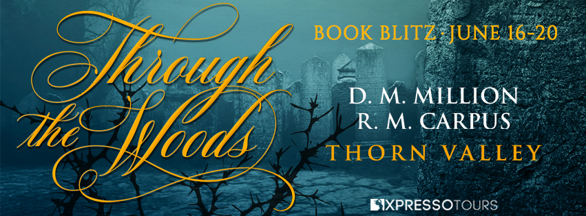 Through the Woods book blitz banner