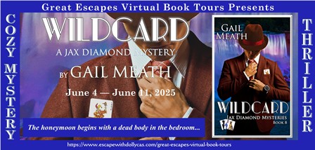 Wildcard book banner