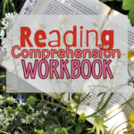 reading comprehension workbook