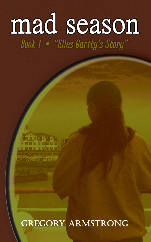 Mad Season book cover