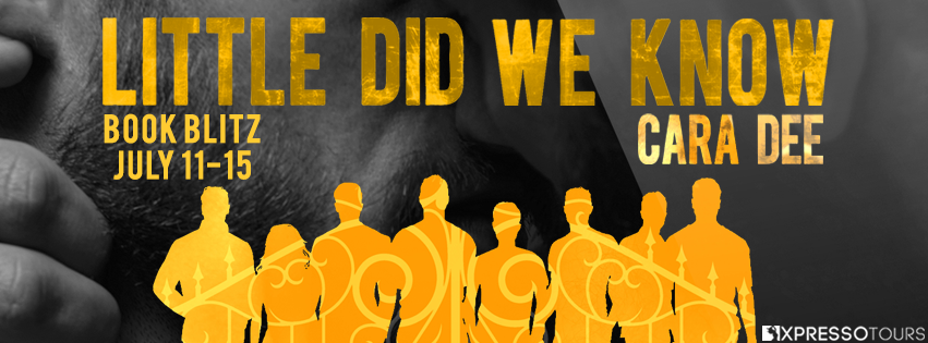 Little Did we Know book blitz banner