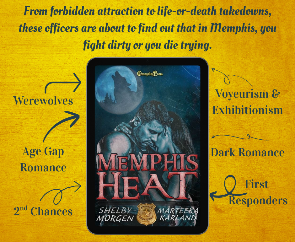 Memphis Heat book trope banner