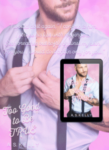 Too Good to be True Book Blitz