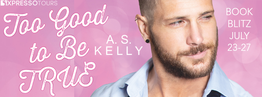 Too Good to be True book blitz banner