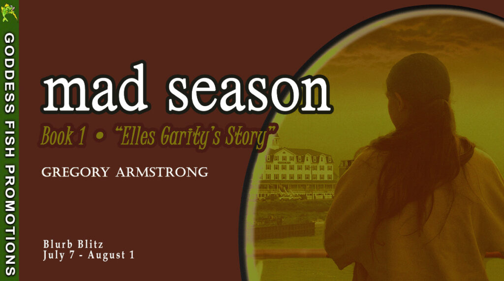 Mad Season blurb blitz banner