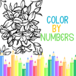 Color by numbers book cover