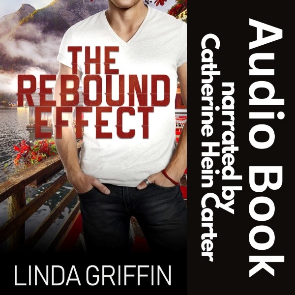 The Rebound Effect book cover