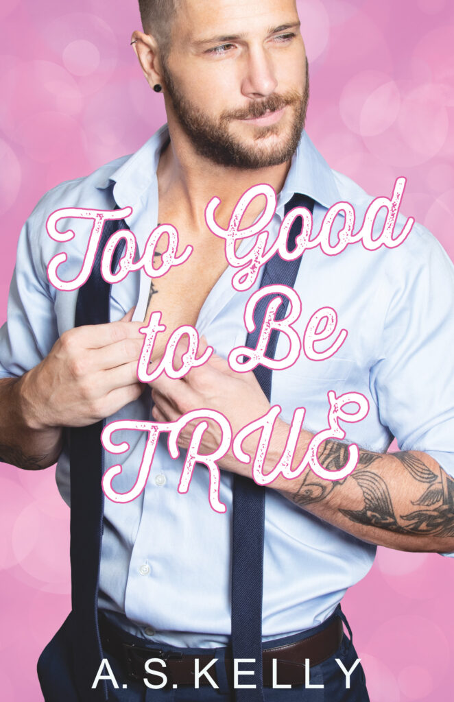 Too Good to be True book blitz book cover