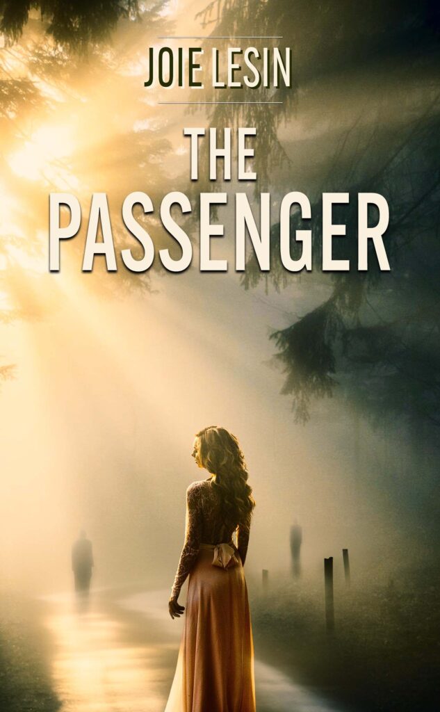 The Passenger book cover