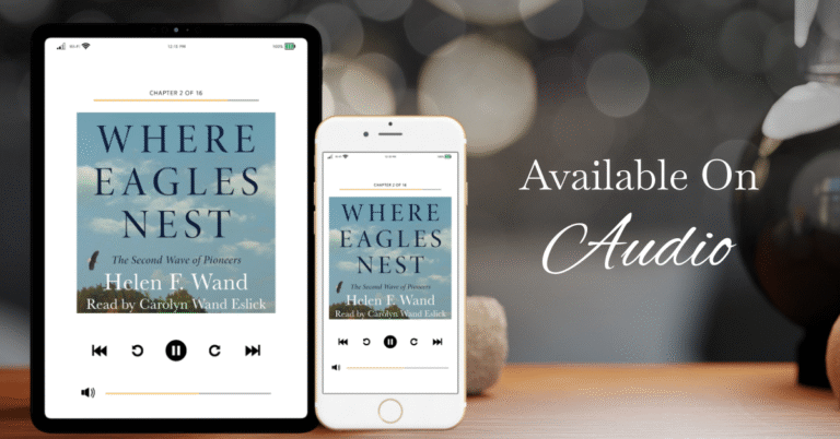 Where Eagles Nest book mockup