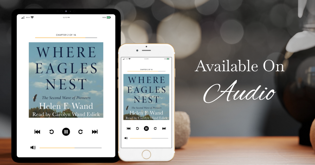Where Eagles Nest book mockup