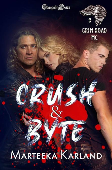 Crush and Byte book cover