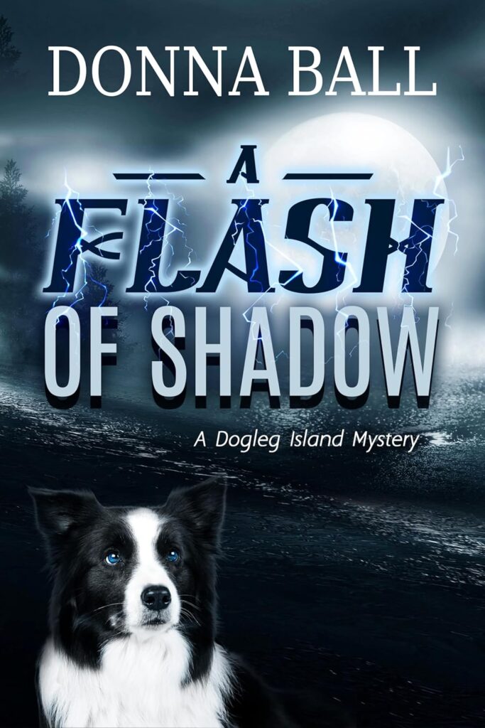 A Flash of Shadow book cover