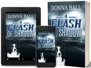 A FLASH OF SHADOW BOOK BLAST
