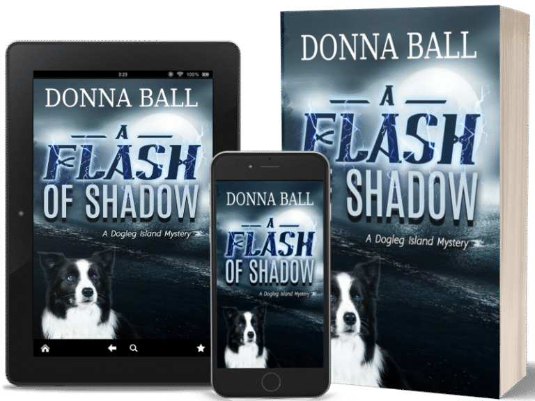 A Flash of shadow book cover mockup