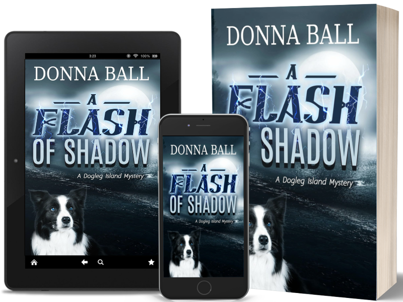 A FLASH OF SHADOW BOOK BLAST