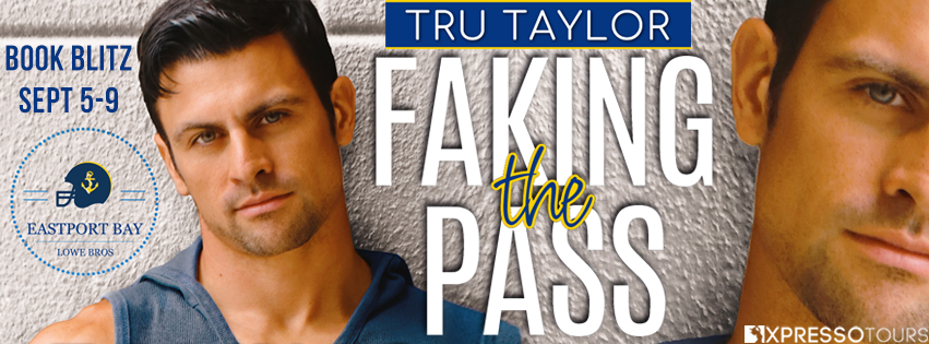 Faking the Pass book banner