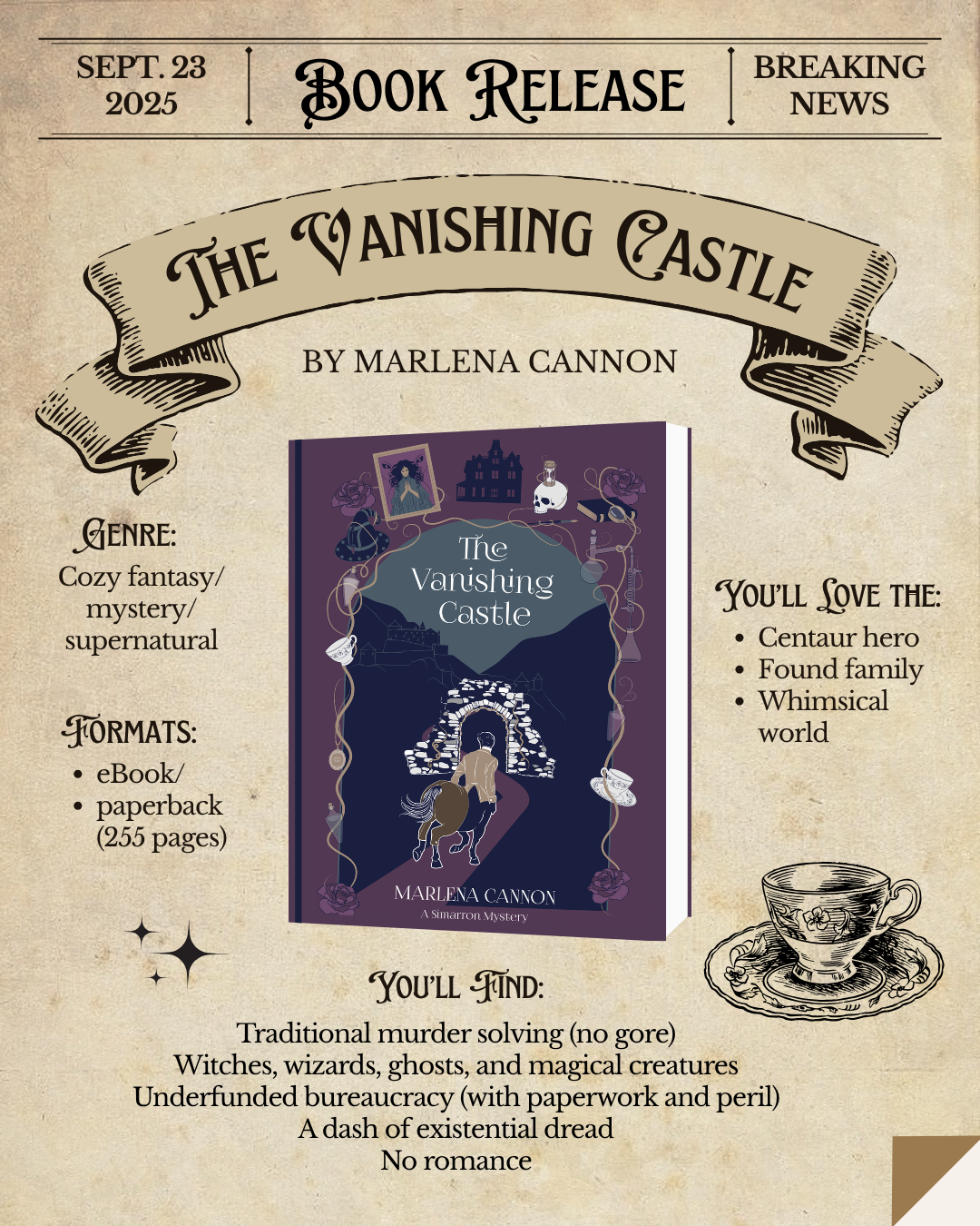 The Vanishing Castle Book Blitz