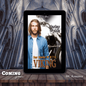Viking Teaser