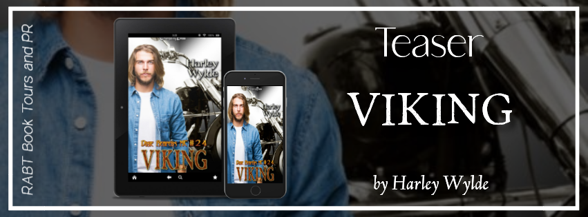 Viking teaser banner