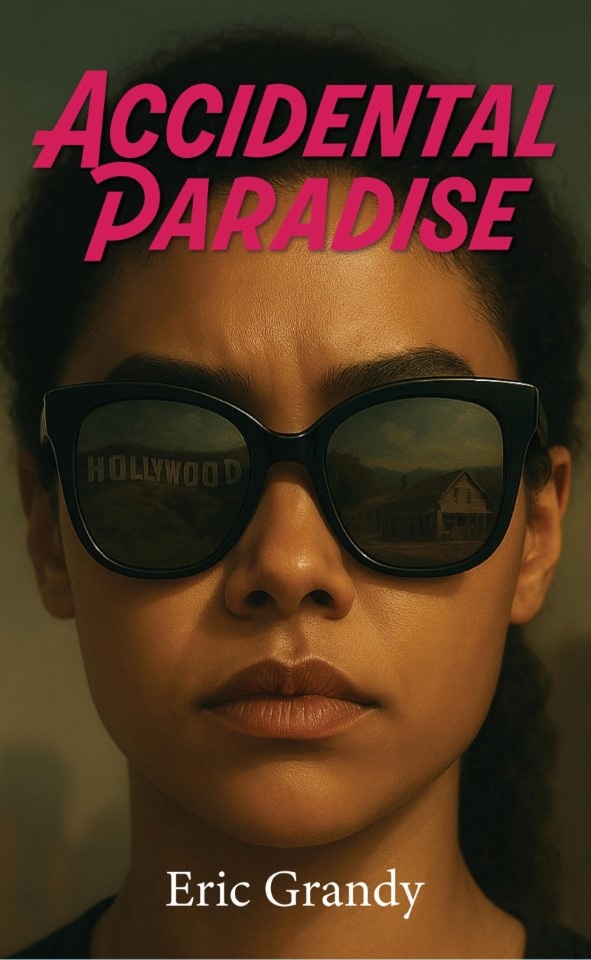 Accidental Paradise book cover