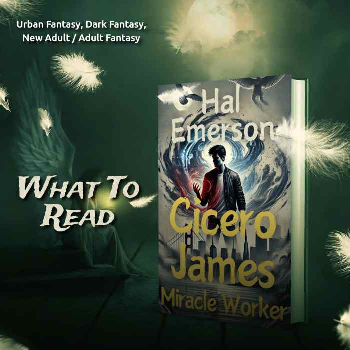 Cicero James, Miracle Worker Book Blitz