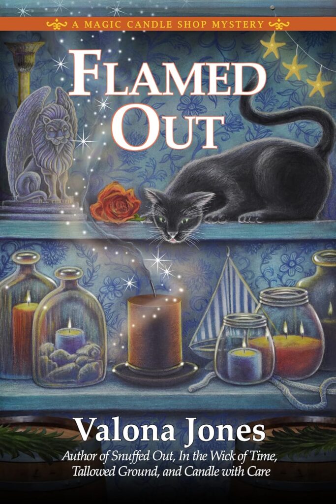 Flamed Out book cover