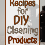 DIY Cleaning Products book