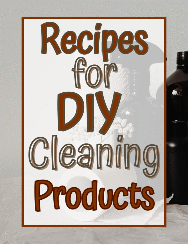 DIY Cleaning Products book