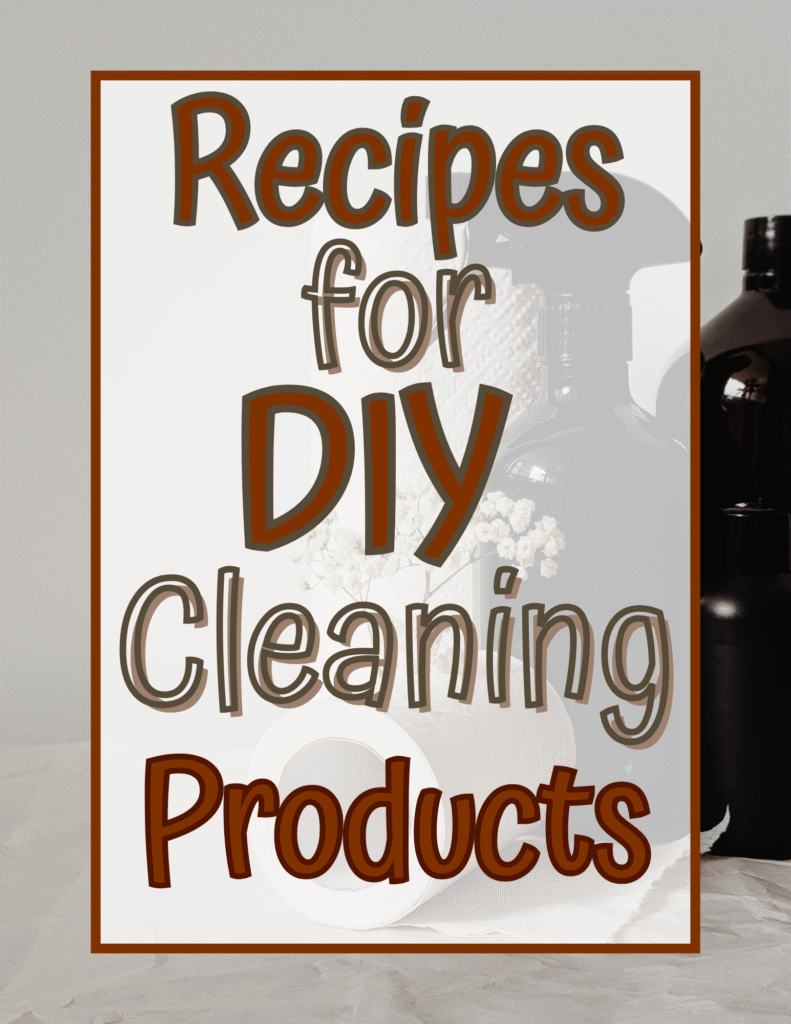 DIY Cleaning Products book