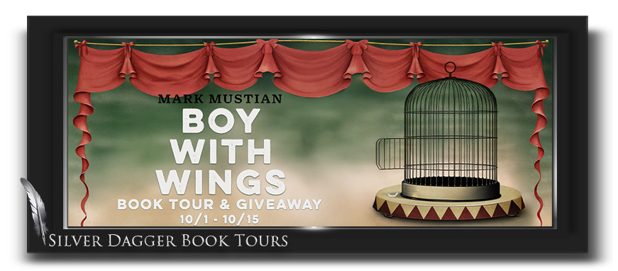 Boy with Wings book banner