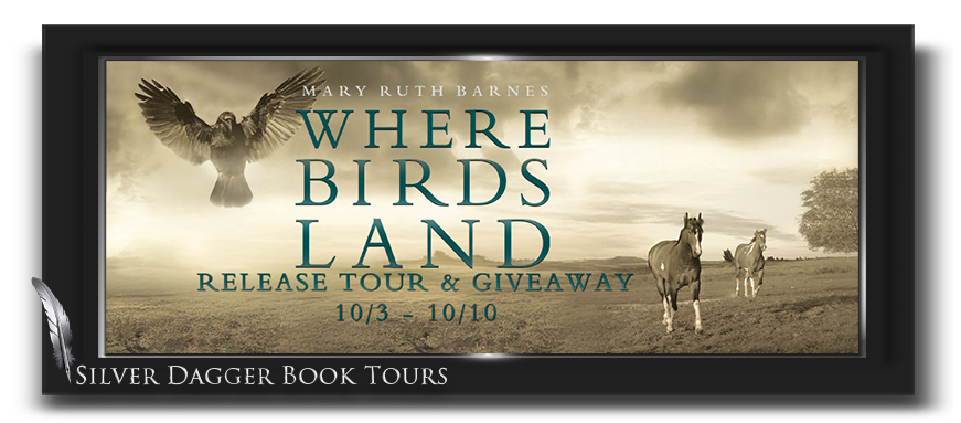 Where Birds Land release tour banner