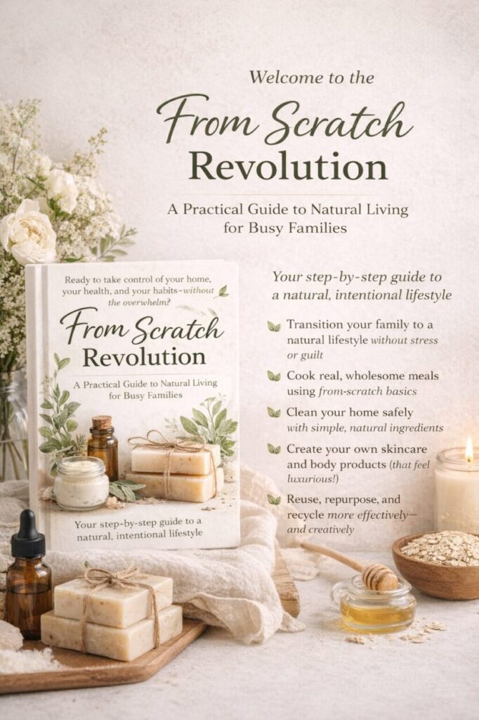 🌻 From Scratch Revolution Guide