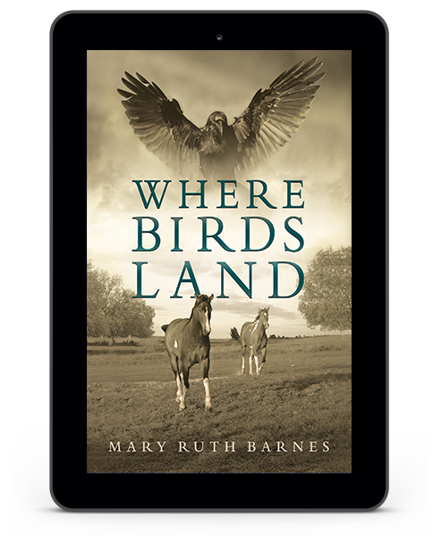 Where Birds Land book cover