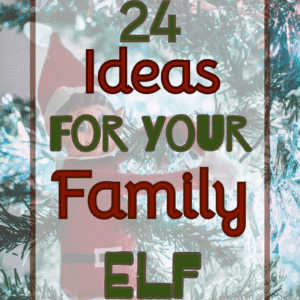 ideas for your family elf