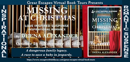 Missing at Christmas book banner