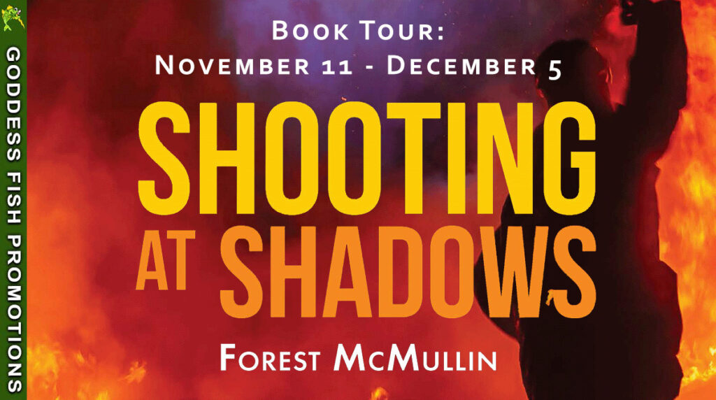 Shooting at Shadows bok banner