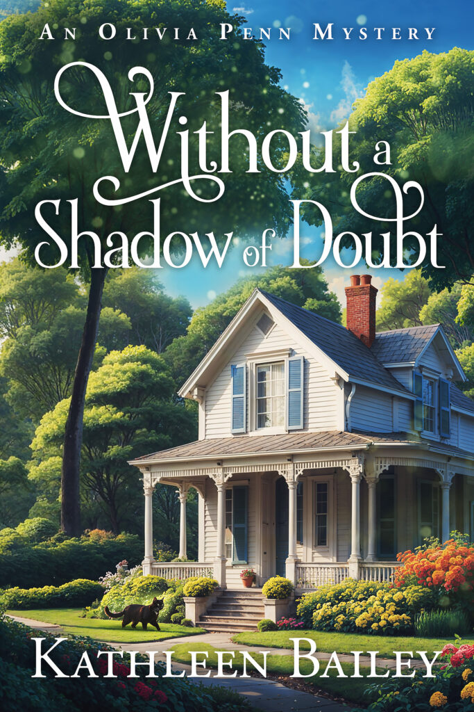 Without a Shadow of Doubt book cover