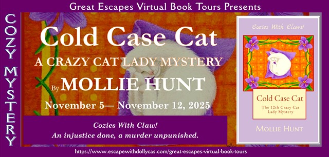 Cold Case Cat book banner