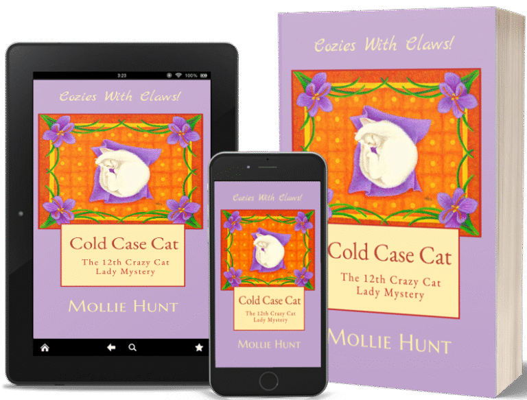Cold Case Cat book mockup