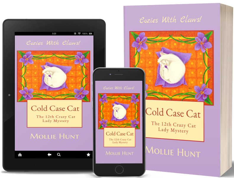 Cold Case Cat book mockup
