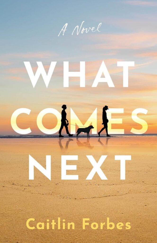 What Comes Next book cover