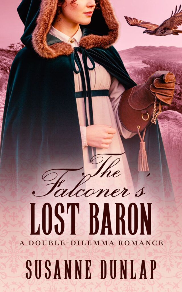 The Falconer's Lost Baron book cover