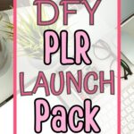 DFY PLR launch pack cover