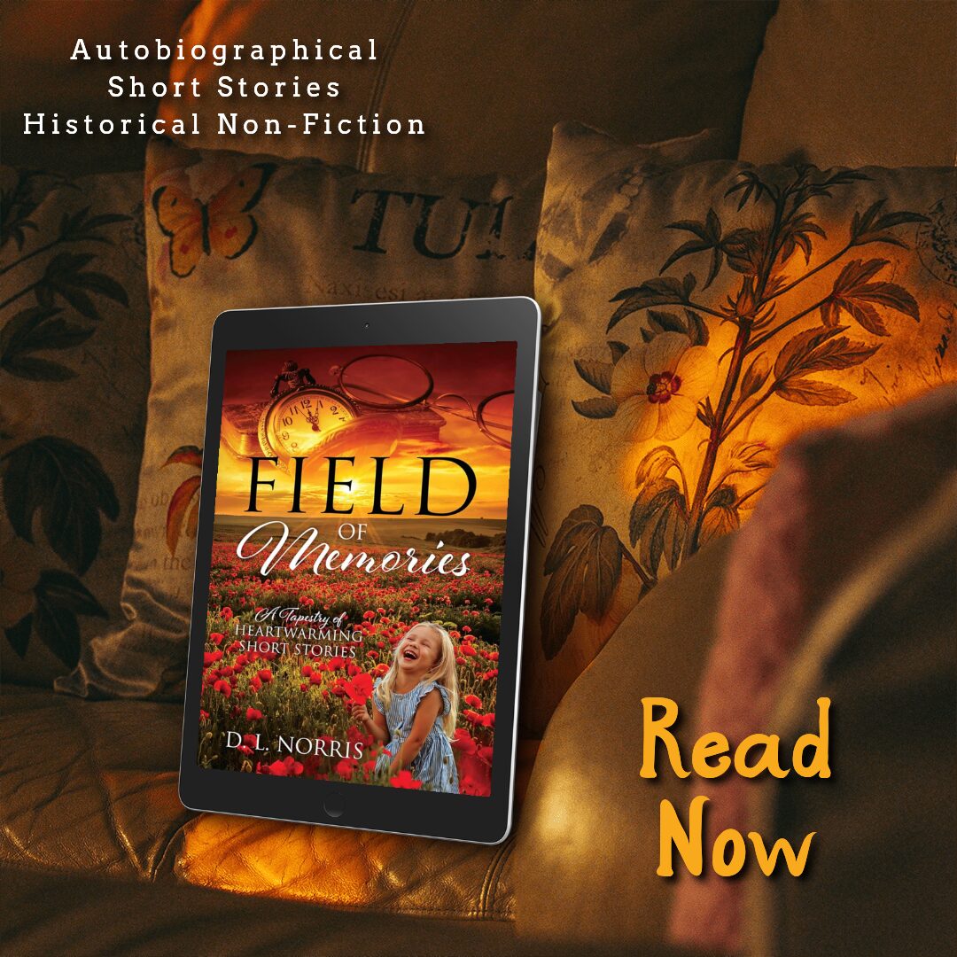 Field of Memories book mockup